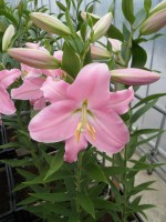 [1801 Canaletto No01.JPG]